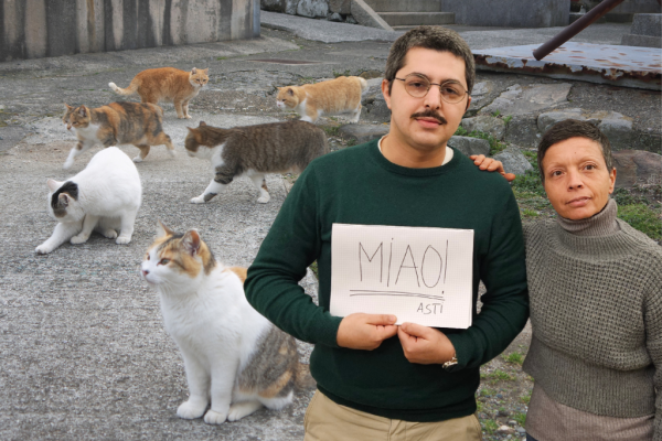 associazione difesa felini