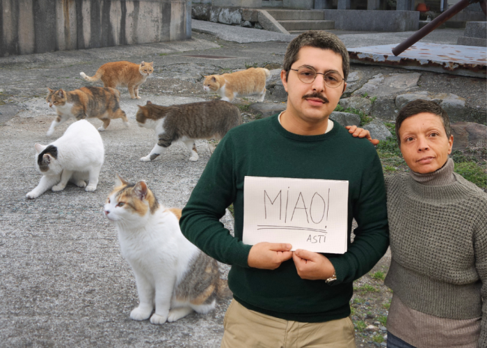 associazione difesa felini