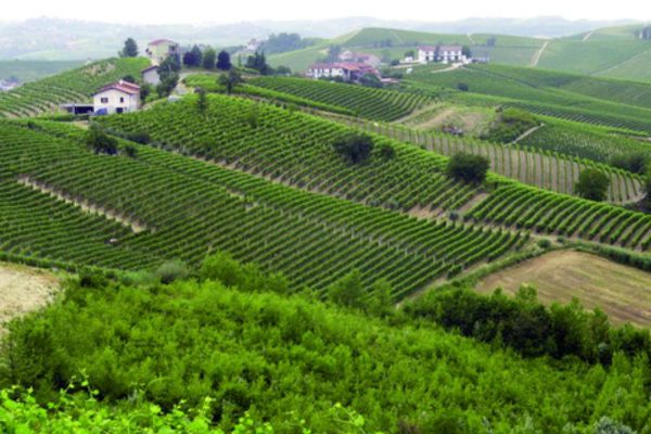 Asti e Alba si fondononella super ATL Unesco