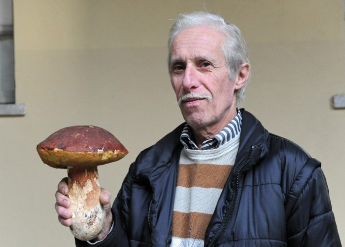 Avete ma visto un porcino così?