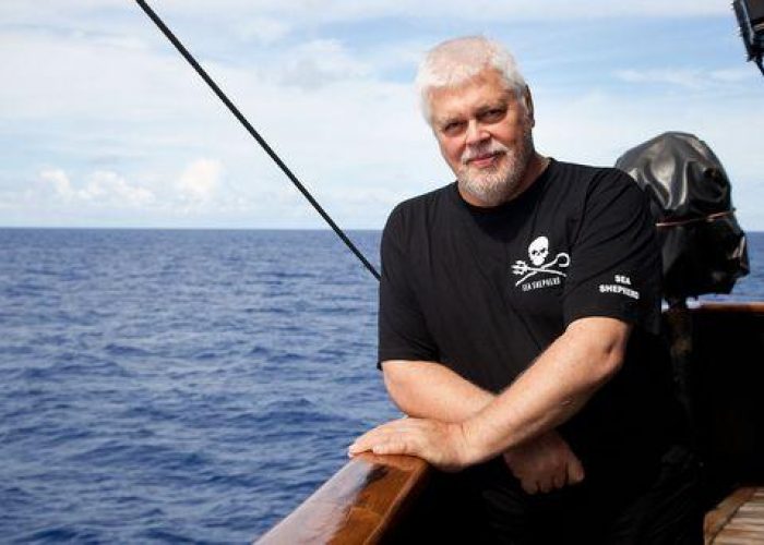 Balene/ Al via campagna Sea Shepherd contro baleniere giapponesi