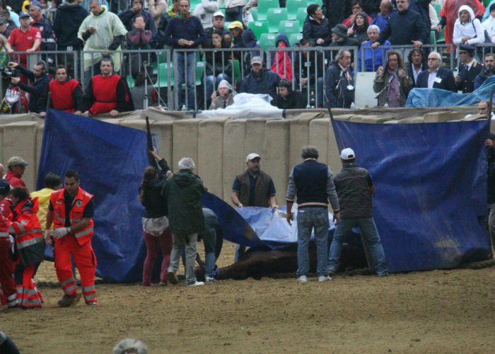 Bircolotti sulla morte di Mamuthones:«Quella forzatura fu irresponsabile»