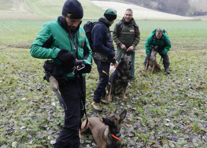 Bocconi avvelenati tra Cellee Revigliasco, controlli della Forestale