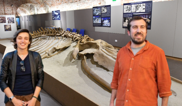 broccatello e Bosia al paleontologico