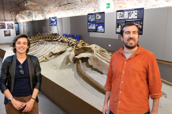broccatello e Bosia al paleontologico