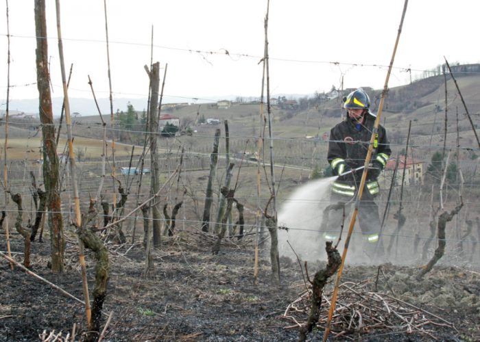 Bruciare le sterpaglie, ecco come faresenza incorrere in sanzioni