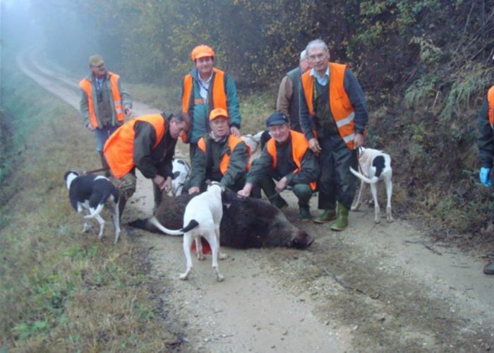 «Caccia al cinghiale anche sulla neve»La richiesta arriverà in Regione