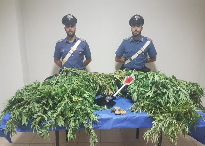 carabinieri marijuana