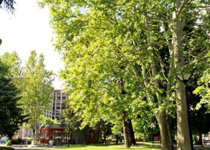 Cari lettori, dite la vostra:come riqualificare i giardini pubblici?