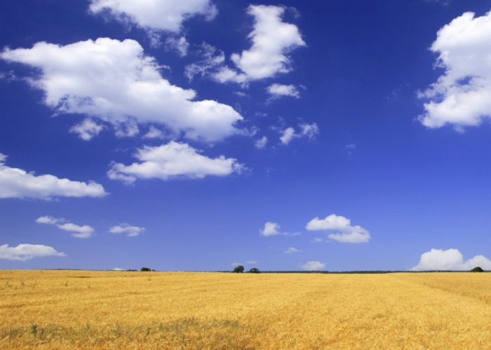 Cielo sereno e caldo fino a sabatoPoi piogge e temperature più fresche