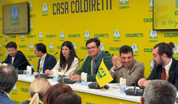 coldi