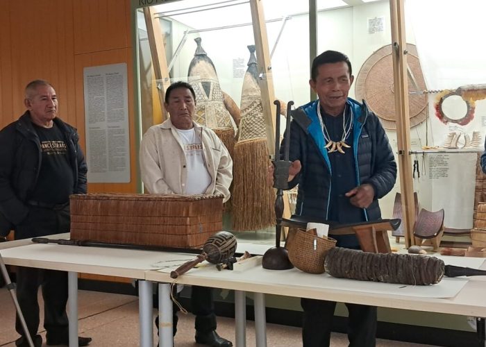 colle don bosco museo brasiliani