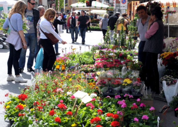 Con Florart i fiori apronola festa del Santo Patrono
