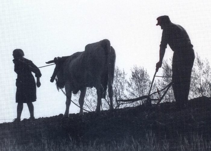 «Consapevoli di un ambiente unico»I dieci anni dei Quaderni di Muscandia