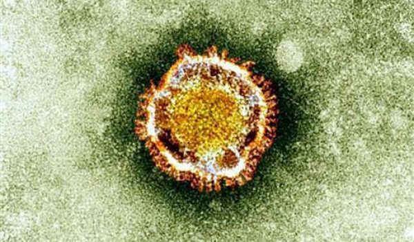 Coronavirus/ A Firenze altri 10 casi positivi ma senza sintomi