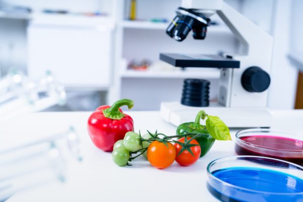 Chemical Laboratory of the Food supply Food in laboratory, dna modify GMO Genetically modified food in lab
