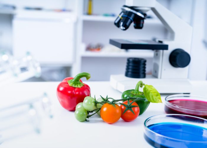Chemical Laboratory of the Food supply Food in laboratory, dna modify GMO Genetically modified food in lab