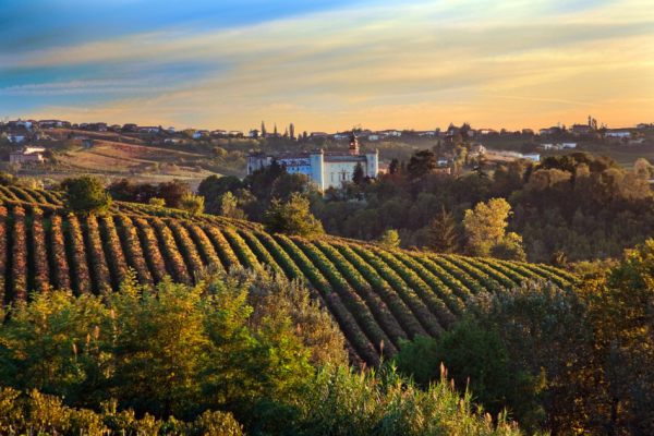 costigliole d'asti rosso barbera castello