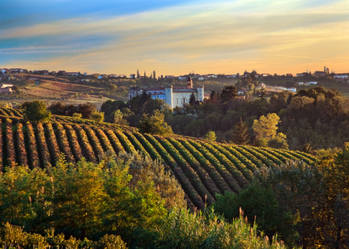 costigliole d'asti rosso barbera castello