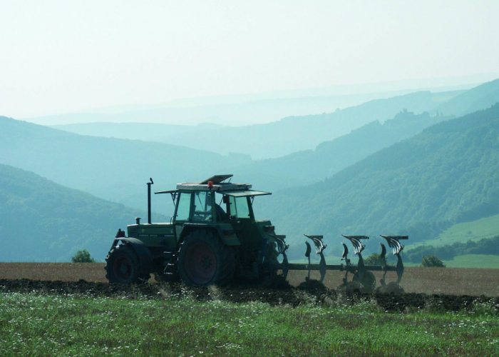 Crisi agricoltura, ma i giovani ritornano in campagna