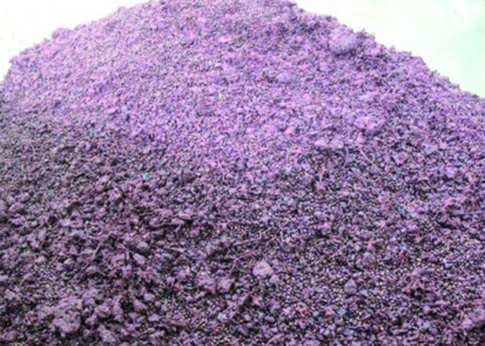 Dagli scarti della vendemmiaun freno allinvecchiamento