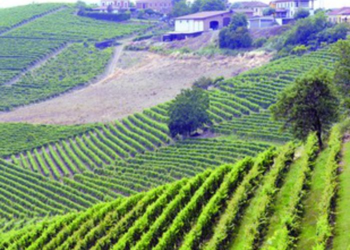 Dieci produttori celebrano il Moscato«La nostra alternativa allaperitivo»