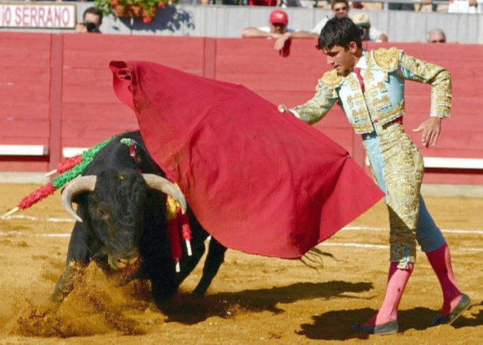 Domenica in piazza raccolta firme contro la corrida