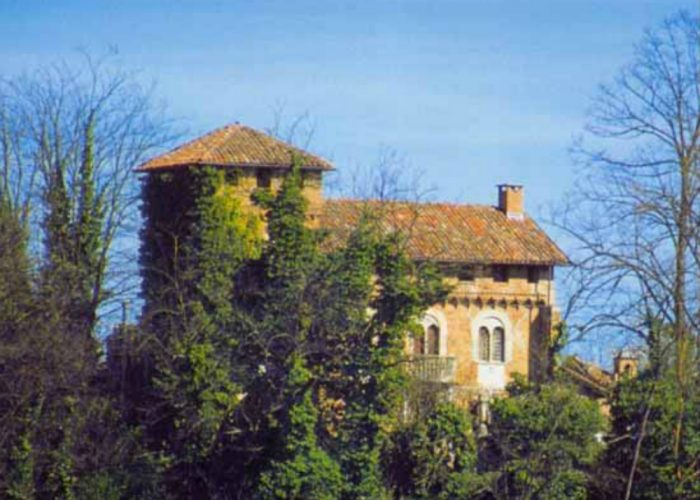 Domenica la "viola pomposa" in scenaConcerto al castello di Belveglio