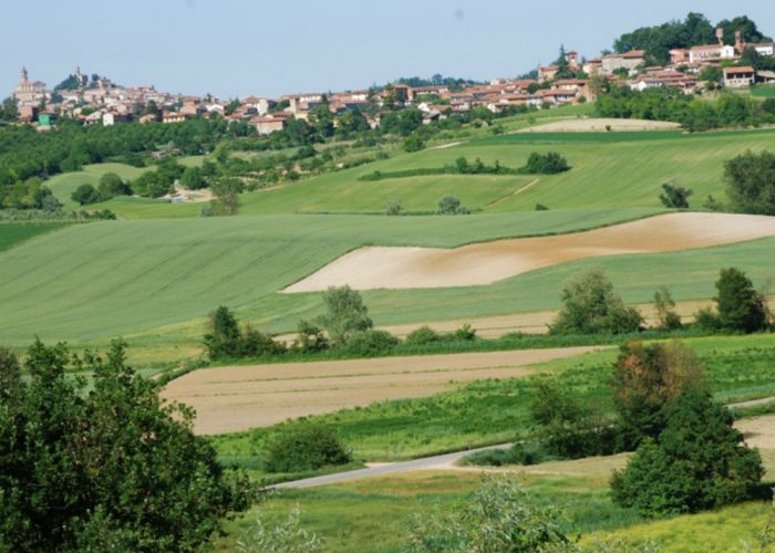 Domenica sulle colline del Ruchèinsieme al C.A.I. di Asti