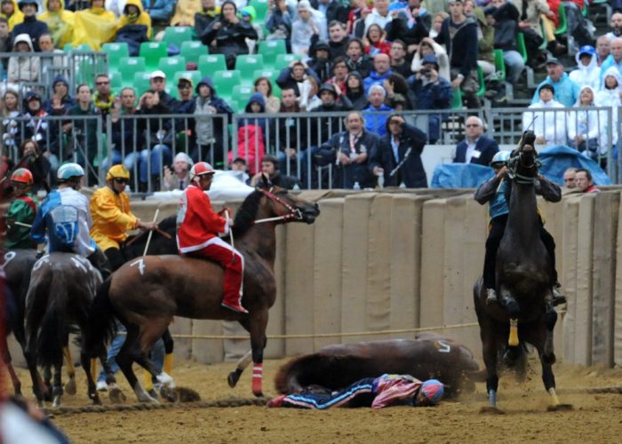 Dramma al canapo, muore il cavallodi S. Maria Nuova: Palio rimandato