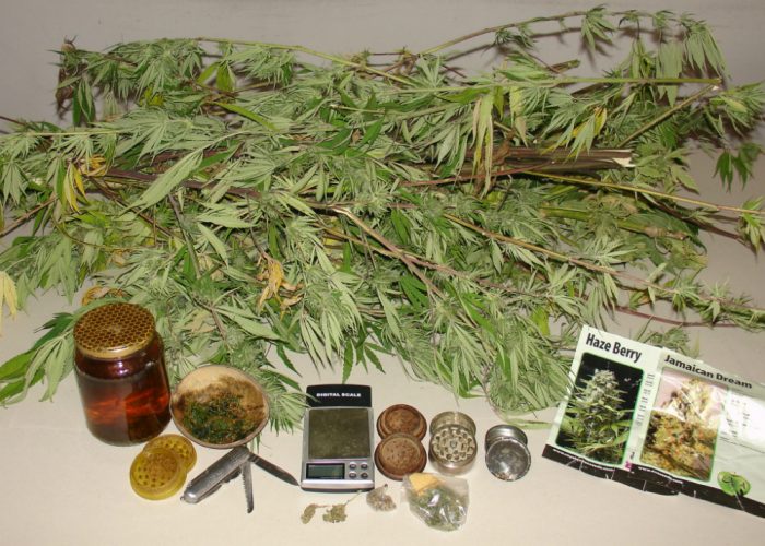 Droga e kit da spaccio in casa: arrestato collaboratore scolastico di Cassinasco