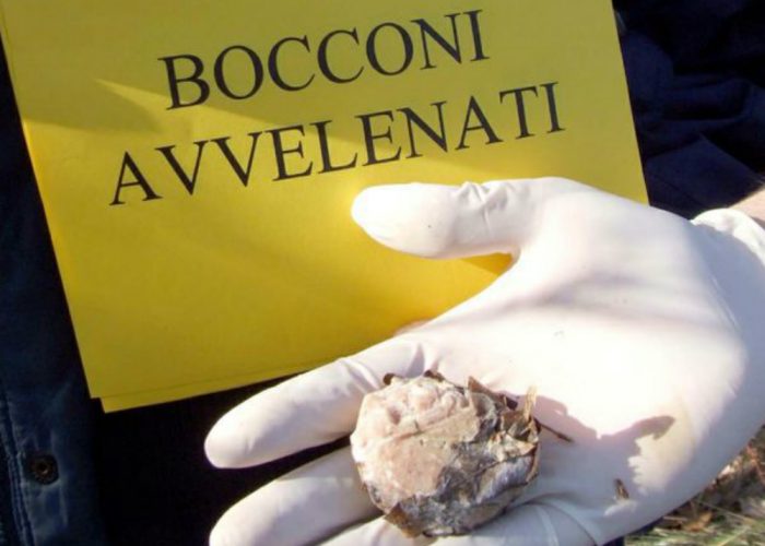 Due cani avvelenati al parcoVia alle ronde contro i bocconi letali