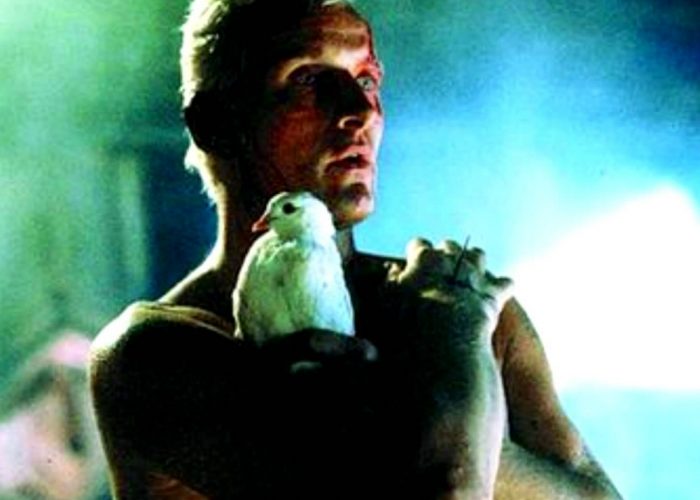 Due giorni con Rutger HauerVenerdì coi fan prima di "Blade Runner"