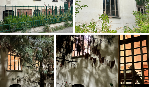 ex casa di riposo