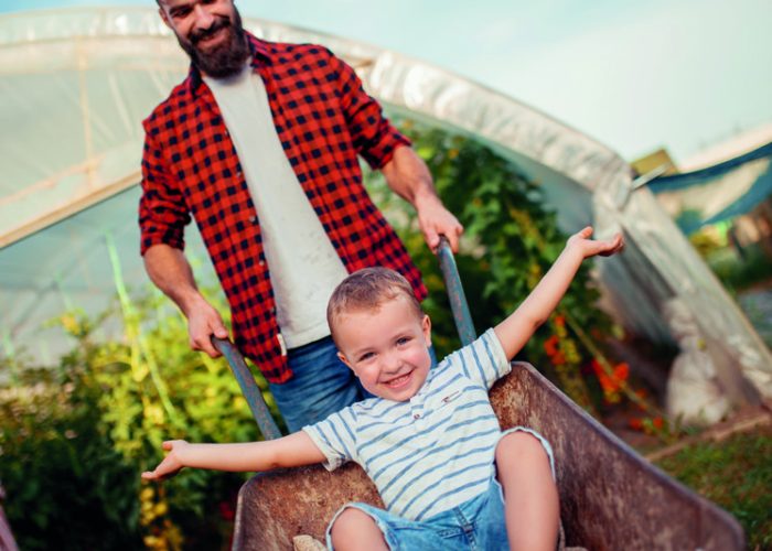 Father and son check harvest of tomato in greenhouse.People,farming, gardening and agriculture concept.