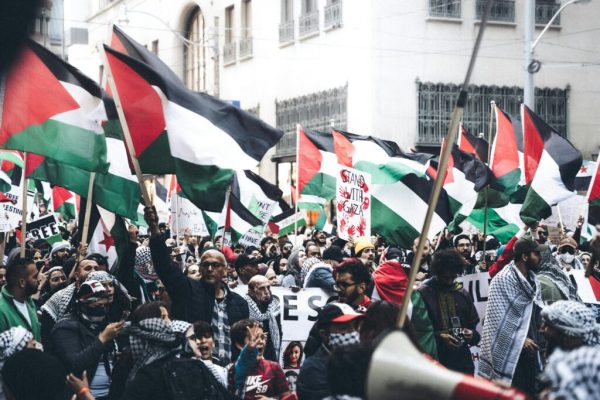 free palestina