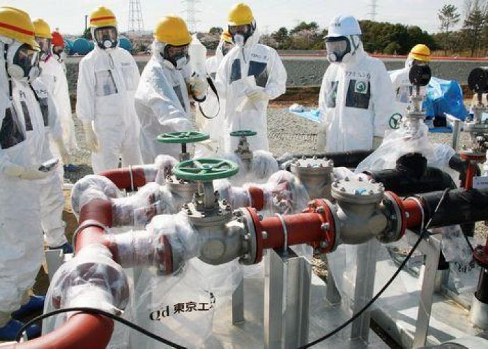 Giappone/ Topo blocca sistema raffreddamento reattore Fukushima
