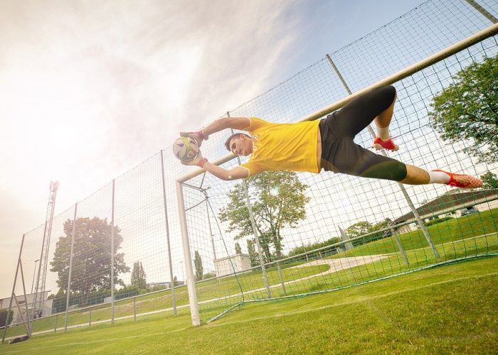 goalkeeper-5754865_960_720