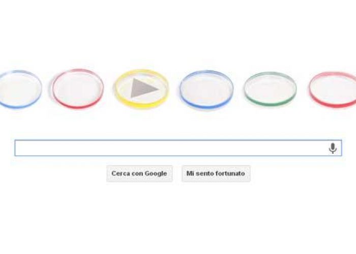 Google/ Il Doodle omaggia il microbiologo Julius Richard Petri