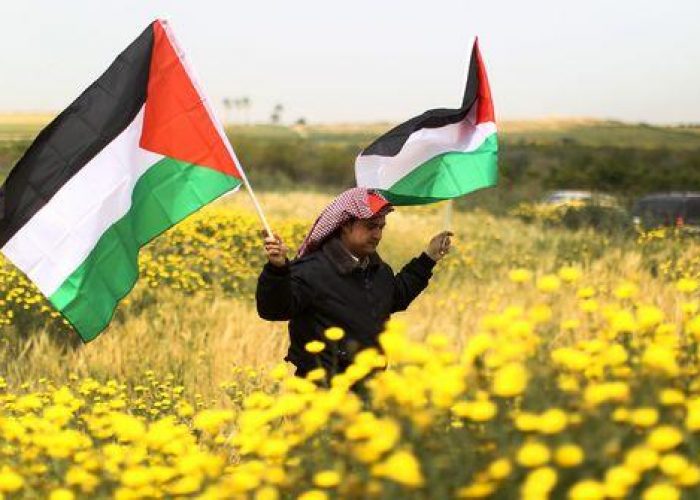 Google/ Motore ricerca sostituisce "Territori" con "Palestina"