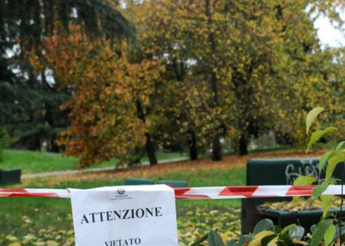 I funghi velenosi nei parchi cittadiniL'Asl chiede cartelli di avviso