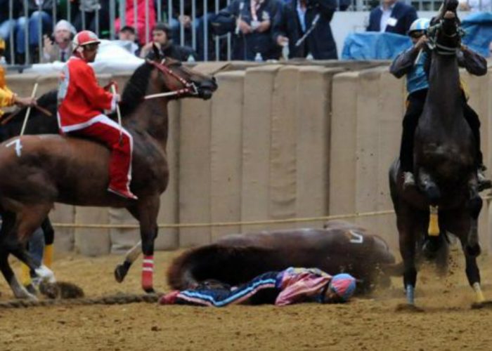 I veterinari: «Il fantino sapevadi mettere a rischio il cavallo»
