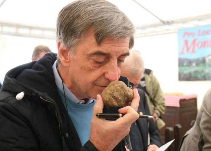 Il Cucciolo dArgento resta orfano,il vincitore scappa ad Alba