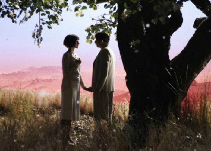 Il documentario, il corto e l'horrorAl Festival anche poesia e letteratura