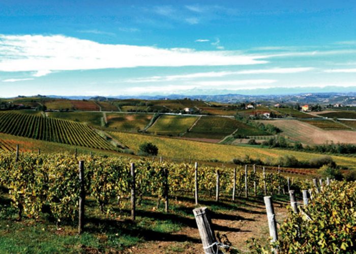 Il Monferrato e le sue opportunità in Cina