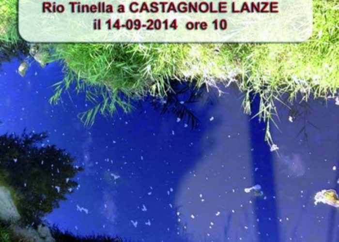 Il rio Tinella si tingedi "viola vendemmia"
