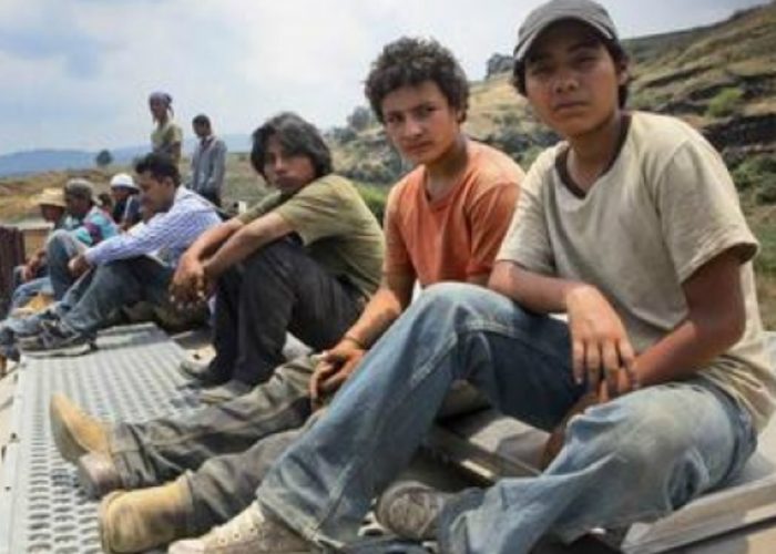 Il viaggio di tre ragazzi verso gli Usa"La gabbia dorata" in Sala Pastrone