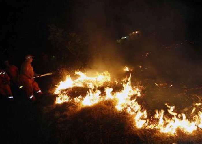 Incendi/ Coldiretti: Nei boschi strage di 14 milioni di animali