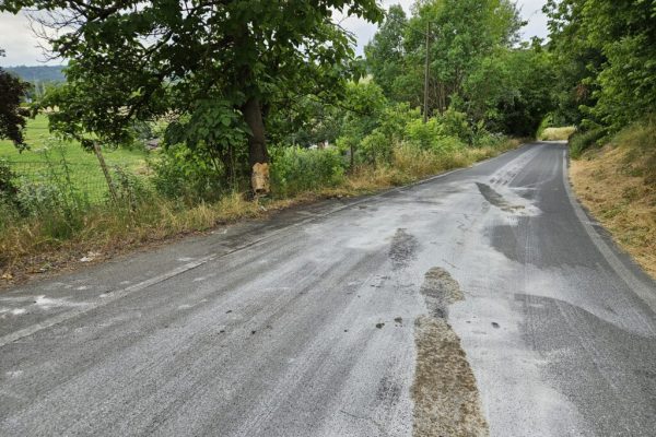 incidente mortale a Viatosto