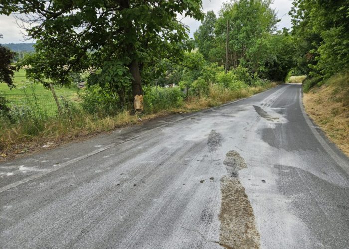 incidente mortale a Viatosto